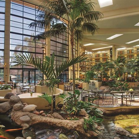 Embassy Suites By Hilton Phoenix Biltmore Zewnętrze zdjęcie