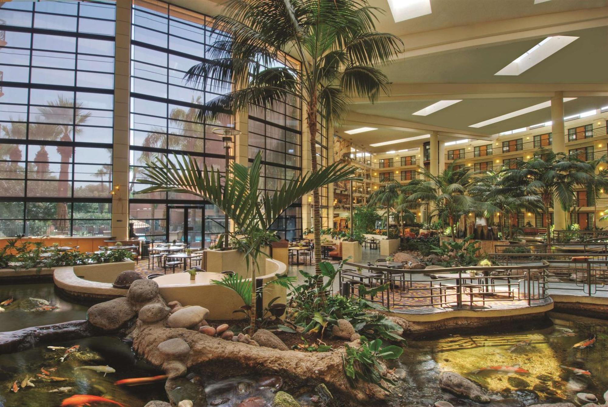 Embassy Suites By Hilton Phoenix Biltmore Zewnętrze zdjęcie